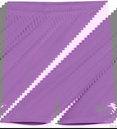 Shorts Puma Puma teamGOAL Shorts Lilla | 705752-33, 0