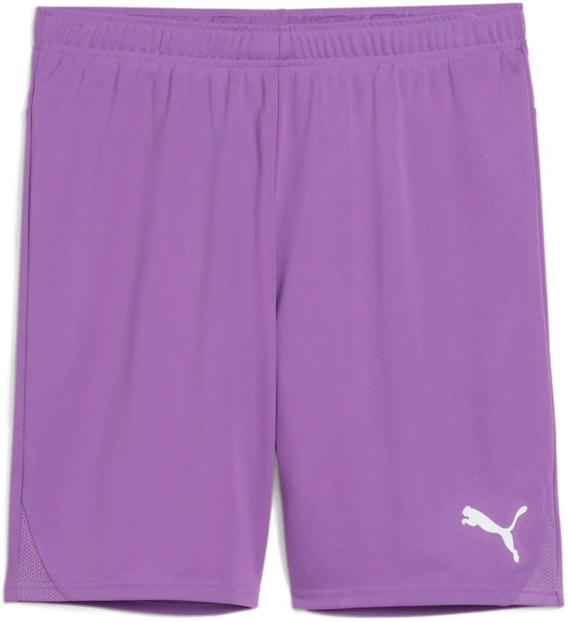 Shorts Puma Puma teamGOAL Shorts Lilla | 705752-33