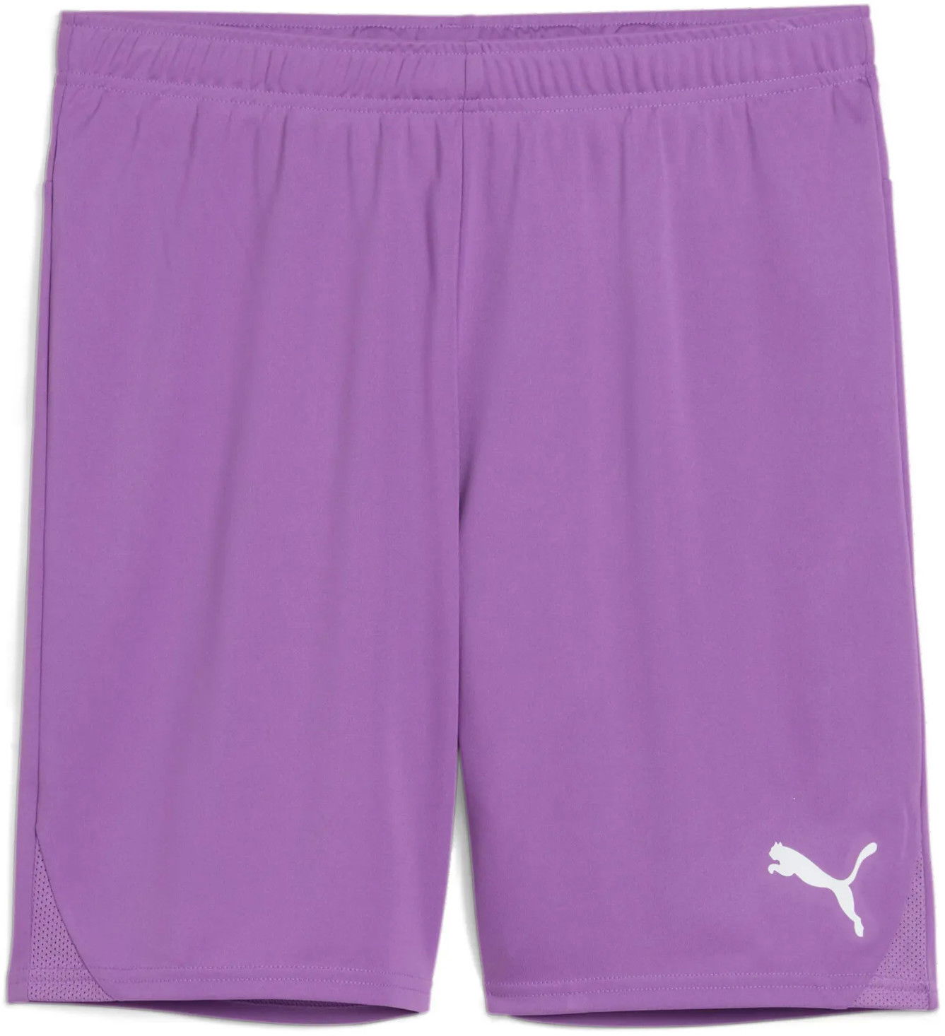 Shorts Puma Puma teamGOAL Shorts Lilla | 705752-33, 0