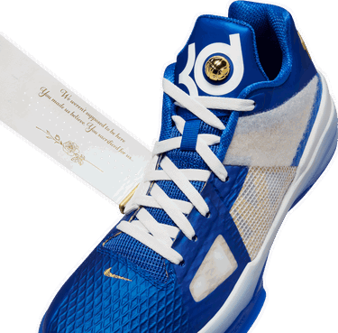Sneakers og sko Nike KD 4 Blå | fz3540-400, 6