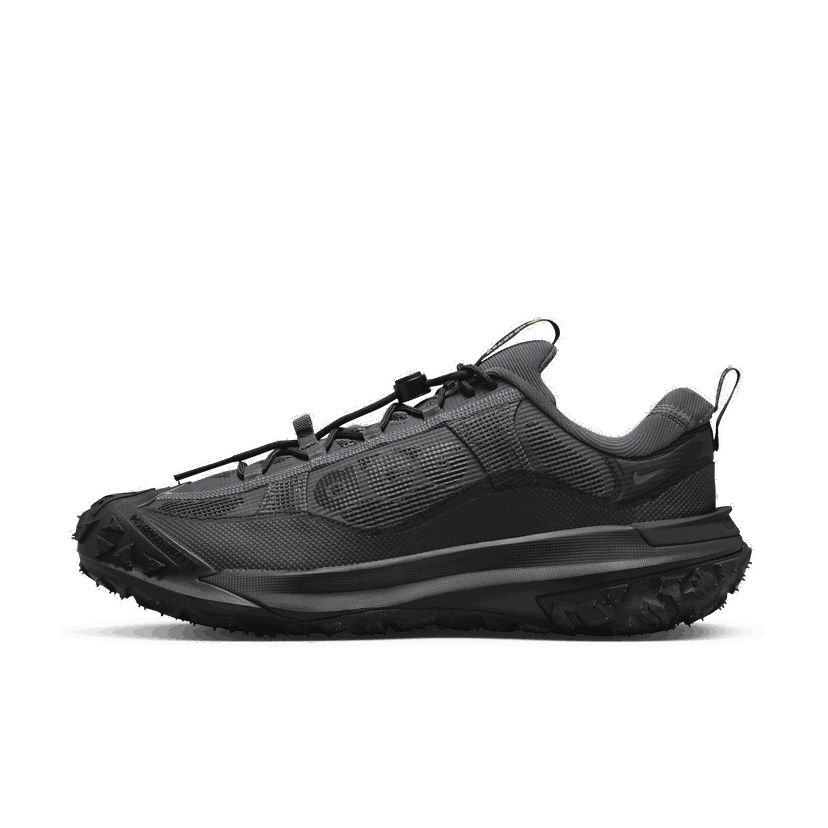 Outdoor Nike ACG Mountain Fly 2 Low GORE-TEX Grå | HF6245-001