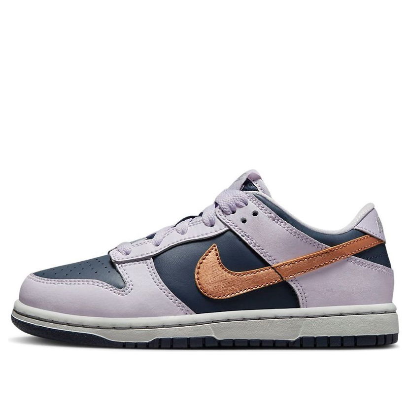 Sneakers og sko Nike Dunk Low SE 'Copper Swoosh' Lilla | DX1664-400