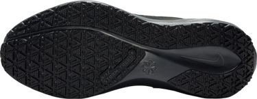 Sneakers og sko Nike Pegasus 41 GORE-TEX Sort | fq1357-001, 4