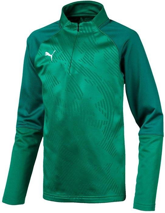 Sweatshirt Puma Cup Core 1/4 Zip Training Top Grøn | 656019-005, 0