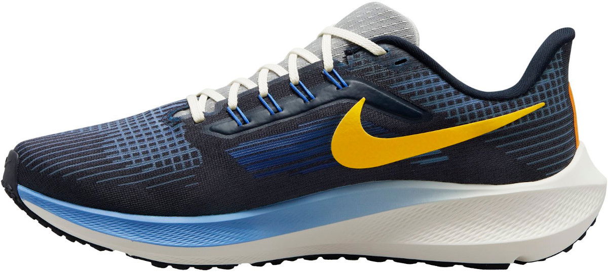 Sneakers og sko Nike Air Zoom Pegasus 39 Blå | do9580-400, 1