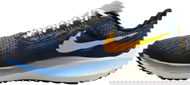 Sneakers og sko Nike Air Zoom Pegasus 39 Blå | do9580-400, 1