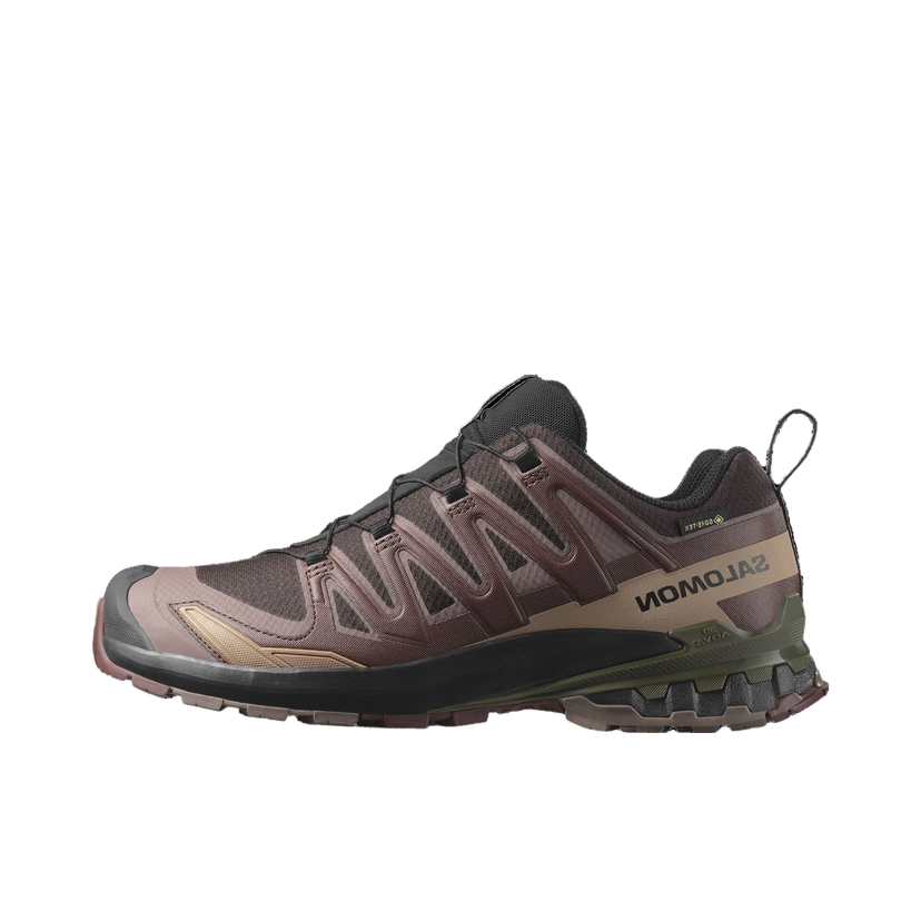 Outdoor Salomon XA PRO 3D V9 GTX Brun | l47583500