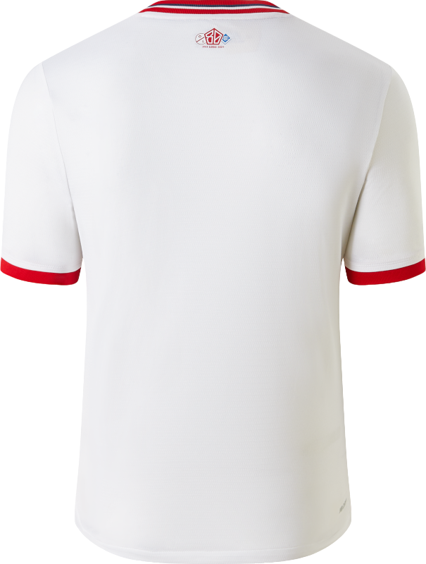 Jersey New Balance Lille LOSC Anniversaire Youth Jersey Hvid | jt230342-fou, 1