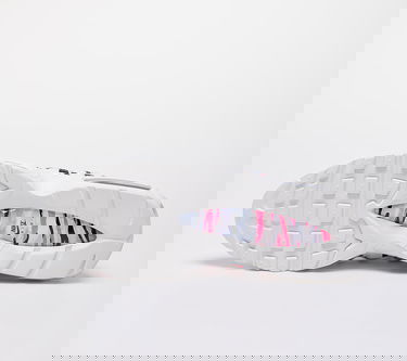 Sneakers og sko Nike Air Max 95 Country - Korea Flerfarvet | CW2359-100, 5