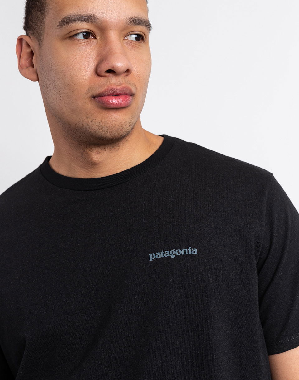 T-shirt Patagonia Fitz Roy Icon Responsibili-Tee Sort | 37665, 1