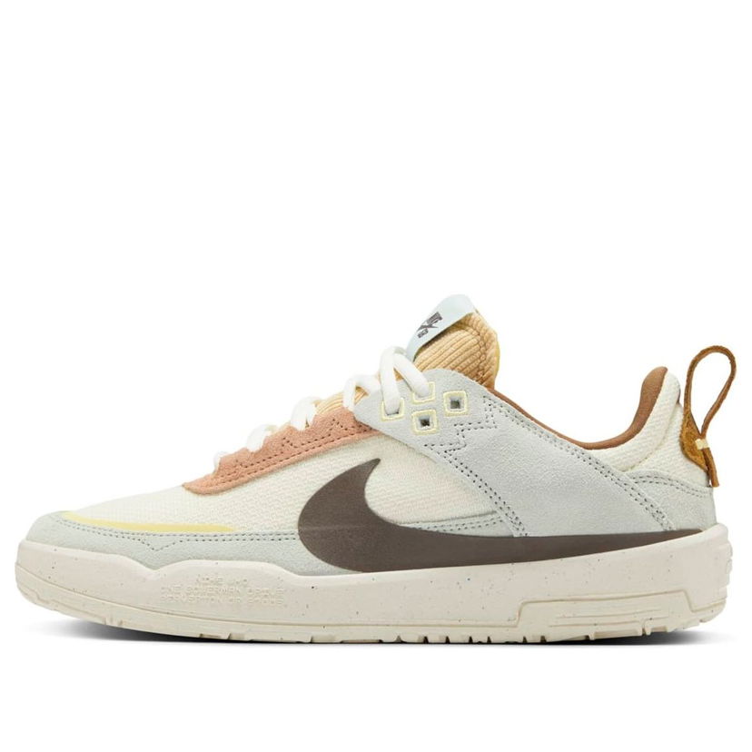 Sneakers og sko Nike SB SB Day One Flerfarvet | HQ3475-121