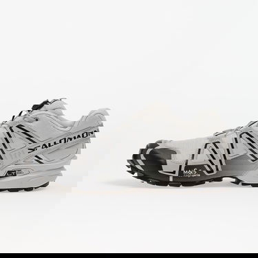 Sneakers og sko Salomon SPEEDCROSS 3 Grå | L47859700, 0