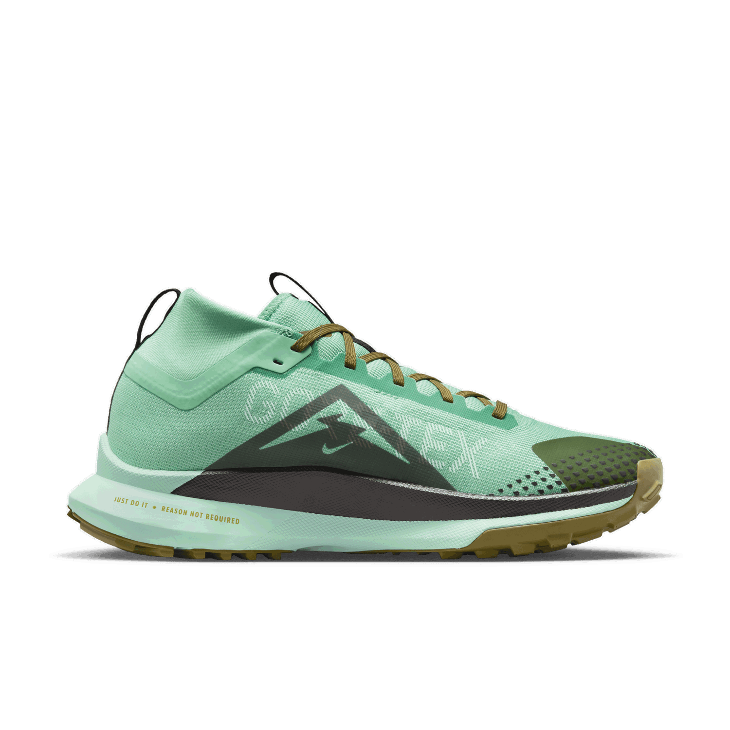 Sneakers og sko Nike Pegasus Trail 4 GORE-TEX 'Spring Green' Grøn | DJ7926-301, 1