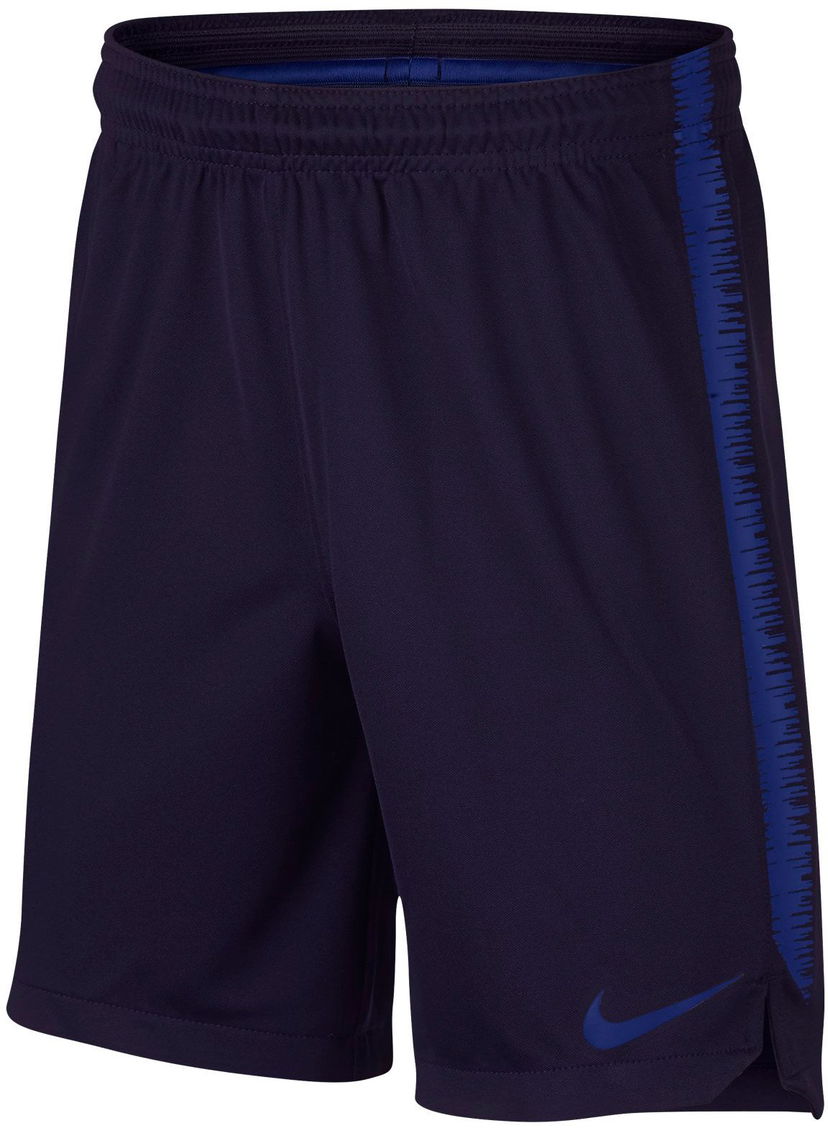 Shorts Nike Nike Dry Squad K 18 Shorts Mørkeblå | 894874-416