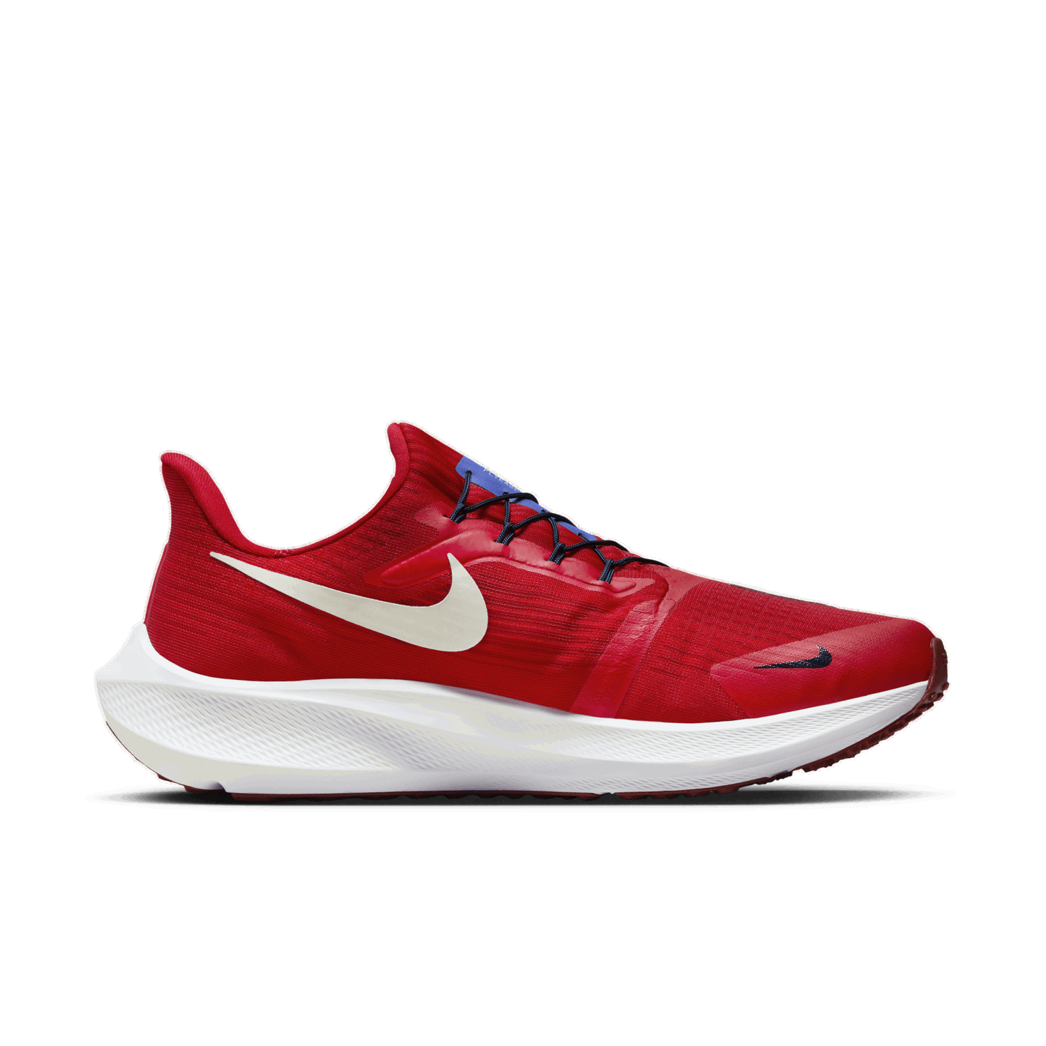 Sneakers og sko Nike Pegasus FlyEase Rød | DJ7381-601, 0