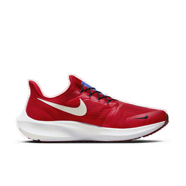 Sneakers og sko Nike Pegasus FlyEase Rød | DJ7381-601, 0