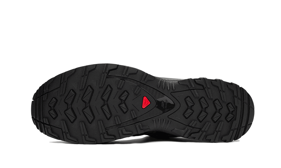 Sneakers og sko Salomon XA PRO 3D Sort | L41617400, 1