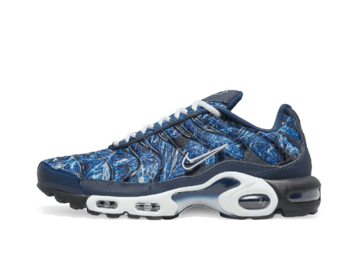 Sneakers og sko Nike Air Max Plus Blå | DO6384-400