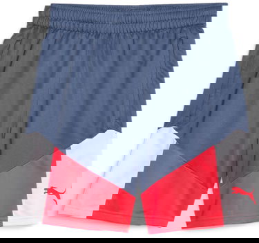 Shorts Puma individualCUP Football Shorts Flerfarvet | 658485-53, 0
