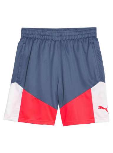 Shorts Puma individualCUP Football Shorts Flerfarvet | 658485-53