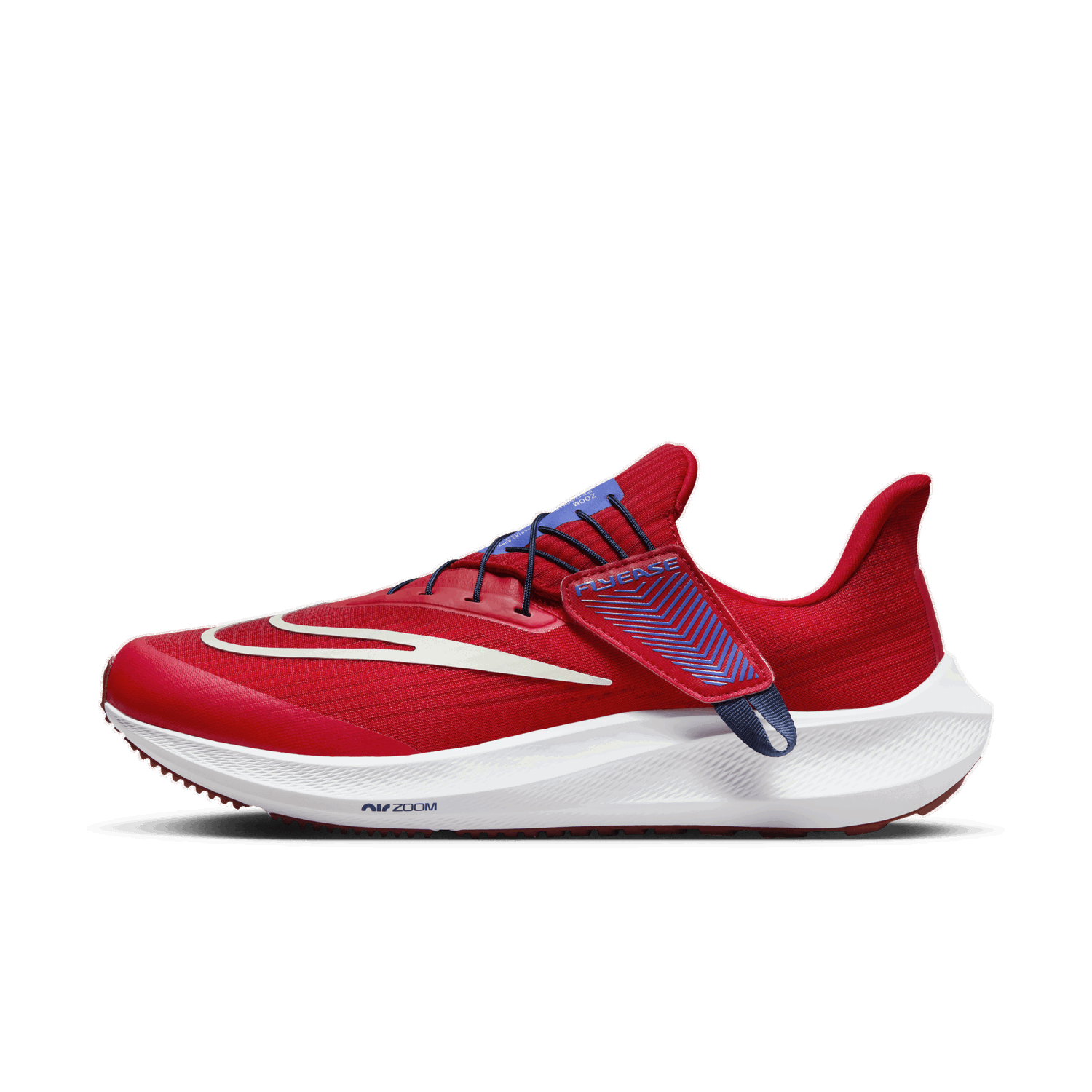Sneakers og sko Nike Pegasus FlyEase Rød | DJ7381-601, 1