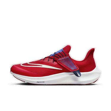 Sneakers og sko Nike Pegasus FlyEase Rød | DJ7381-601, 1