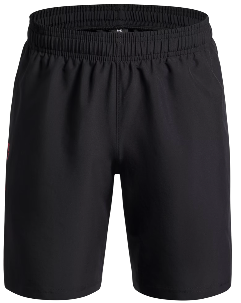 Shorts Under Armour UA Tech Woven Wordmark Training Shorts Sort | 1383341-007