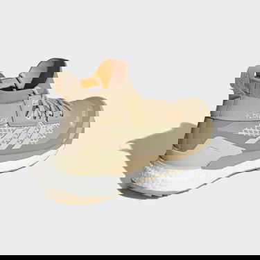 Sneakers og sko adidas Performance Terrex Free Hiker Gore-Tex Beige | GV7515, 1