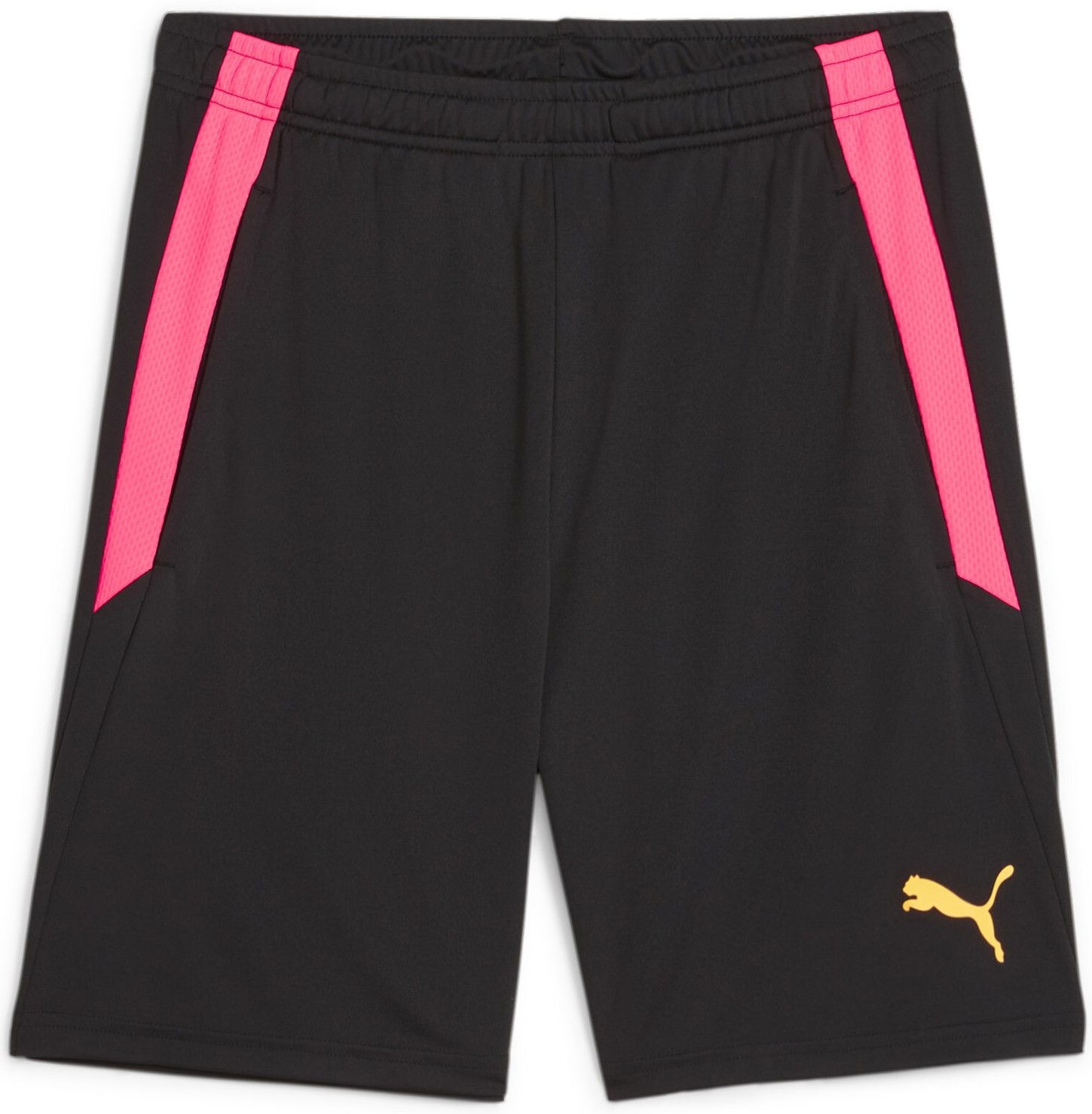 Shorts Puma teamLIGA Training Shorts 2 (open pockets) Sort | 657667-57, 0