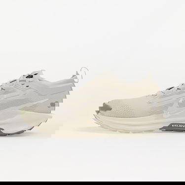 Sneakers og sko Nike Pegasus Trail 5 Gore-Tex Beige | FQ0912-006, 0