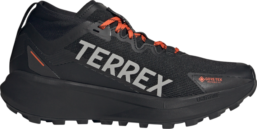 Sneakers og sko adidas Performance Terrex Agravic GTX Sort | ih2939