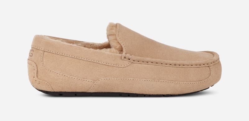 Tøj UGG ® Ascot Slipper for Beige | 1101110-SAN, 0