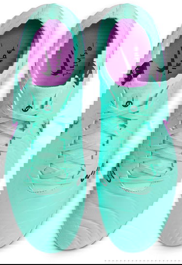 Sneakers og sko Nike LEGEND 10 PRO FG Turkis | dv4333-300, 3