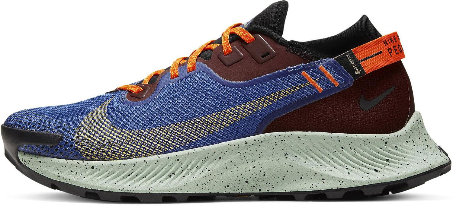 Sneakers og sko Nike Pegasus Trail 2 GTX W Blå | CU2018 600, 0
