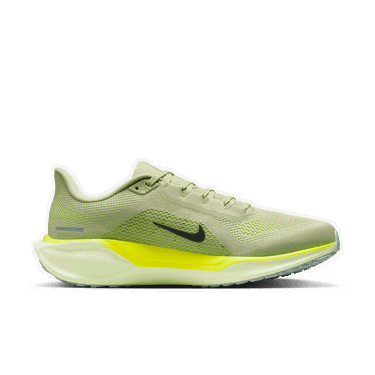 Sneakers og sko Nike Pegasus 41 Grøn | FD2722-303, 2