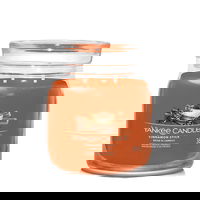 Signature Medium Jar 2 Wicks Cinnamon Stick