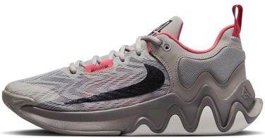 Sneakers og sko Nike Giannis Immortality 2 Grå | DM0825-003, 0