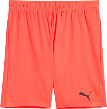 Shorts Puma teamGOAL Sports Shorts Orange | 705752-38, 0