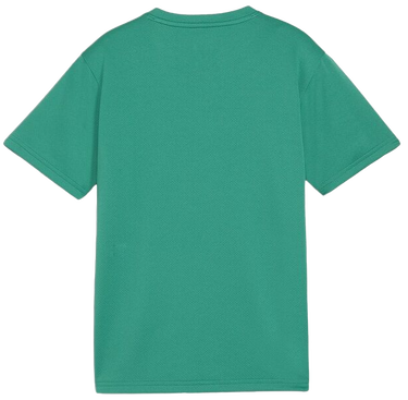 T-shirt Puma teamGOAL T-Shirt Grøn | 658636-05, 1