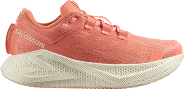 Sneakers og sko Salomon Salomon AERO GLIDE 3 Orange | l47810-700, 0