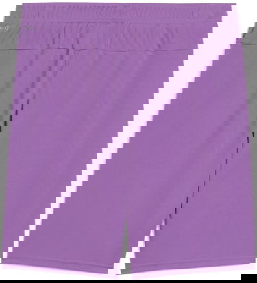 Shorts Puma Puma teamGOAL Shorts Lilla | 705752-33, 1