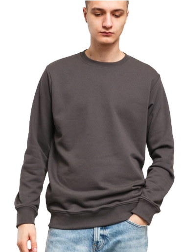 Sweatshirt Urban Classics Basic Terry Crew Grå | TB3484 grey