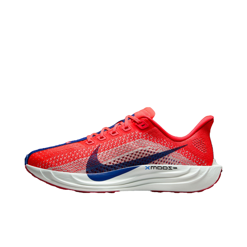 Sneakers og sko Nike Pegasus Plus Rød | fq7261-602