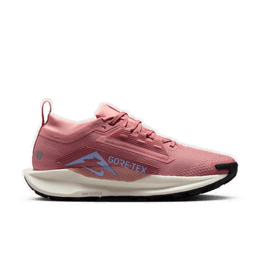 Sneakers og sko Nike Pegasus Trail 5 GORE-TEX Lyserød | FQ0912-602, 1