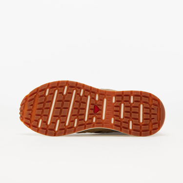 Sneakers og sko Salomon Odyssey 1 Advanced Brun | L41641100, 2