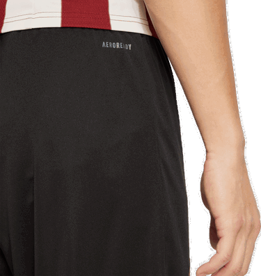 Shorts adidas Originals 1. FC Nürnberg 125th Anniversary Special Shorts Sort | 5fcnjg6351, 2