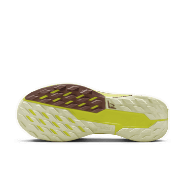 Sneakers og sko Nike Pegasus Trail 5 GORE-TEX Beige | FQ0912-101, 2
