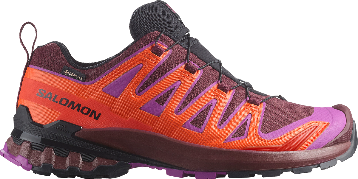 Sneakers og sko Salomon Salomon XA PRO 3D V9 GTX Lilla | l47961900, 0