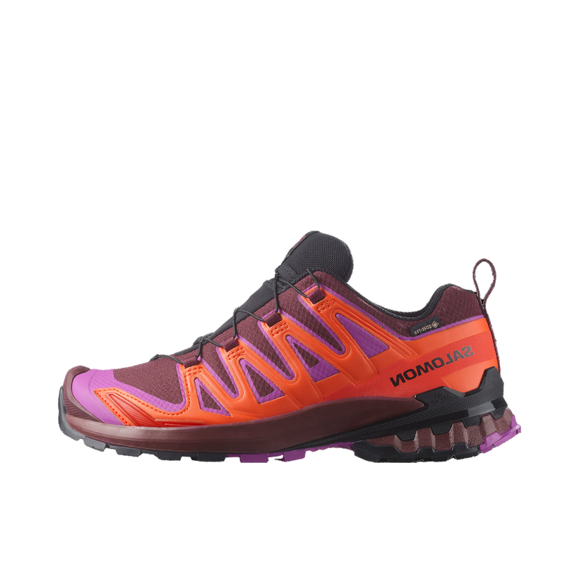 Sneakers og sko Salomon Salomon XA PRO 3D V9 GTX Lilla | l47961900