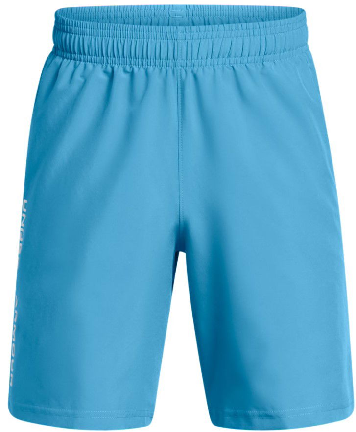 Shorts Under Armour Under Armour UA Tech Woven Wordmark Shorts Blå | 1383341-452